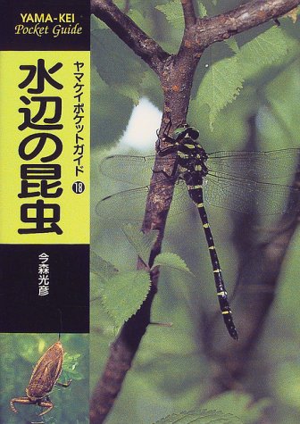 水辺の昆虫 (ヤマケイポケットガイド)
