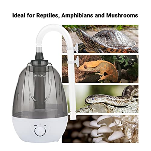 4L grote watertank reptiel luchtbevochtiger meneer INKBIRDPLUS Verstelbare mistuitgang Super Fogger voor reptielen… - Afbeelding 7