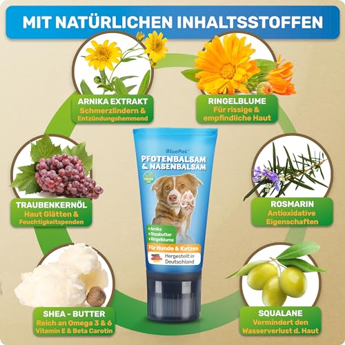 BluePet Pfotenbalsam Hund 50ml – Pfotenpflege Hund gegen trockene & rissige Pfoten und Nase – Natürlicher Schutz & Pflegebalsam für Hunde