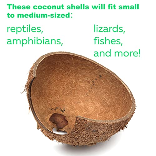 image for TonGass 3-Pack Coconut Shell Hideouts for Reptiles Amphibians (Fishes 