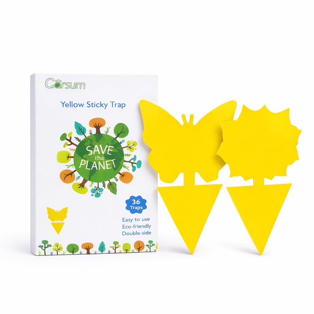 Fruit Fly Sticky Trap for Indoor and Outdoor, 36 Pack Fungus Gnat Killer for Houseplant,Mosquitos, Flying Insect, White Flies