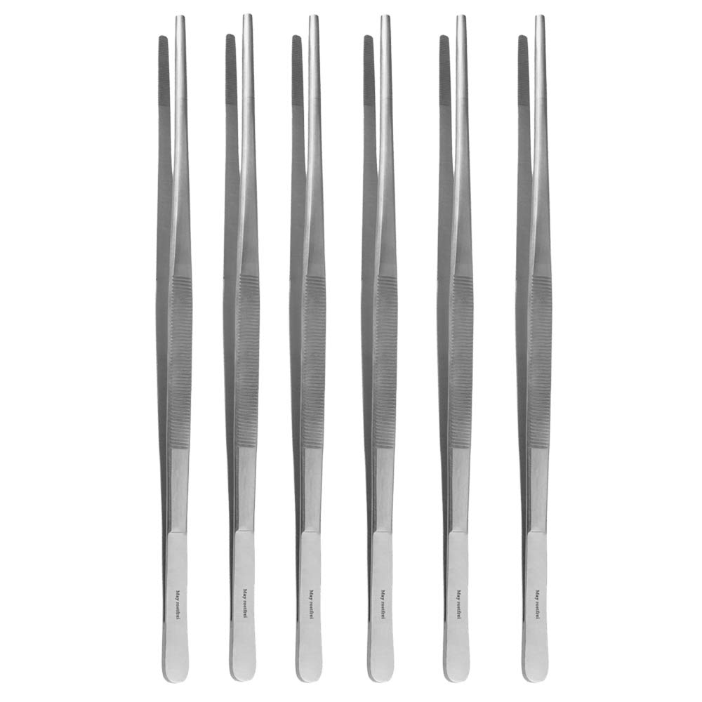 May – Set – 6 Pinzas de terrario de 25 cm de Largo – Pinzas de alimentación – Pinzas de terrario – Acabado Recto – Acero Inoxidable