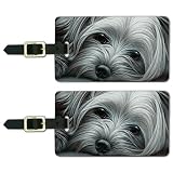 Yorkshire Terrier Yorkie Tired Dog Luggage ID Tags Cards Set of 2
