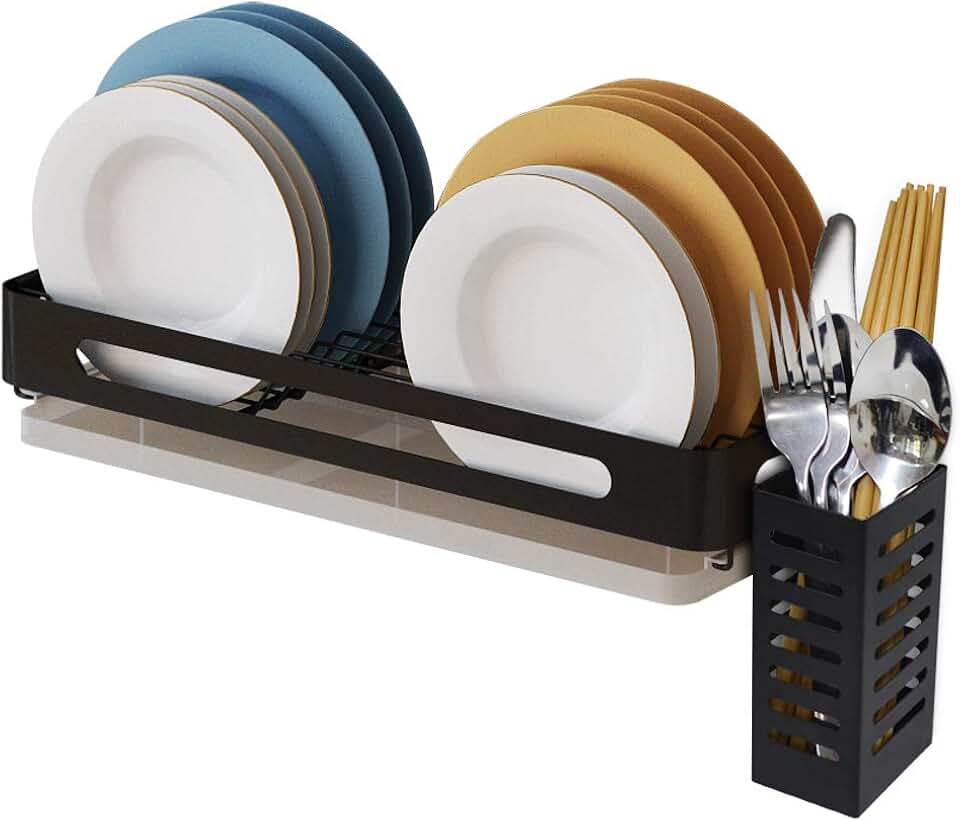 wall mounted dish rack
