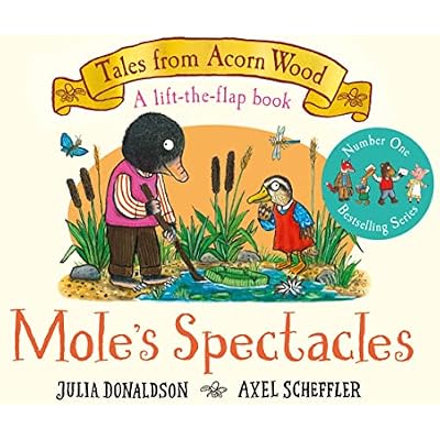Mole's Spectacles: A Lift-the-flap Story