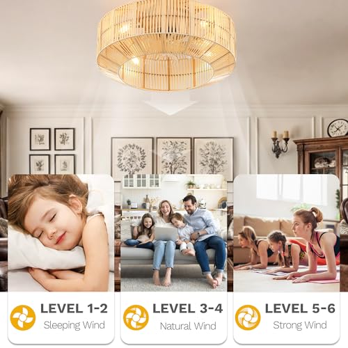DWVO 18 Inch Boho Caged Ceiling Fan with Lights, Flush Mount Ceiling Fans with Remote, 6 Speeds, Reversible Blades, Enclosed Fan Lights for Living Room, Bedroom, Dining Room, Kitchen
