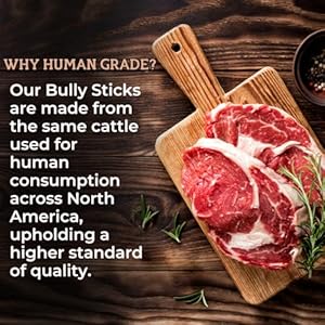 Bully-Bunches-Premium-12-Inch-Thick-Odor-Free-Bully-Sticks-for-Medium-Large-Dogs-Long-Lasting-Chews-for-Oral-Care-All-Natural-Single-Ingredient-100-Beef-Dog-Treat-Rawhide-Free-5-Pk - Cucciolini Doodles   Bully-Bunches-Premium-12-Inch-Thick-Odor-Free-Bully-Sticks-for-Medium-Large-Dogs-Long-Lasting-Chews-for-Oral-Care-All-Natural-Single-Ingredient-100-Beef-Dog-Treat-Rawhide-Free-5-Pk