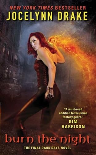 Burn the Night: The Final Dark Days Novel (Dark Days Series, 6)