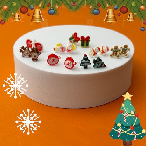 Plastic Earrings for Sensitive Ears Christmas Stud Earring for Women4