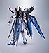 TAMASHII NATIONS Bandai Strike Freedom Gundam Gundam Seed Action Figure