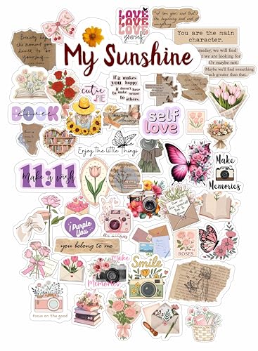 Image of LERITO Vintage Vinyl Stickers Pack, 50 Pieces, Waterproof Self Adhesive Decals for Laptop, Journal, Guitar, Mobile Phone, Multicolor