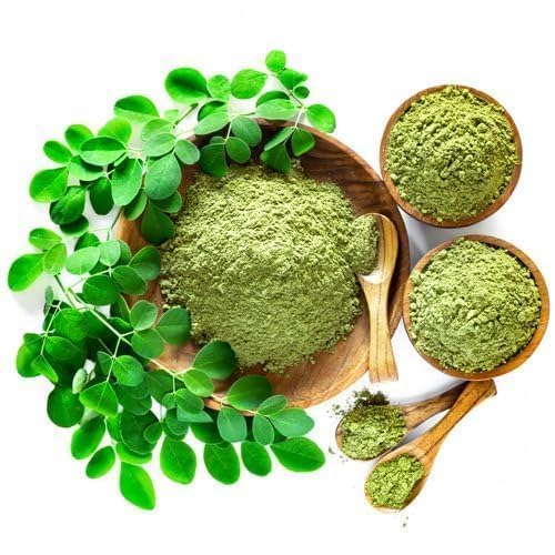 Image of Natural Live Drumstick Plant (Moringa Oleifera) with Pot | Healthy Green Medicinal Plant | Easy Maintenance Live Plant for Home, Office, Balcony, Terrace & Garden