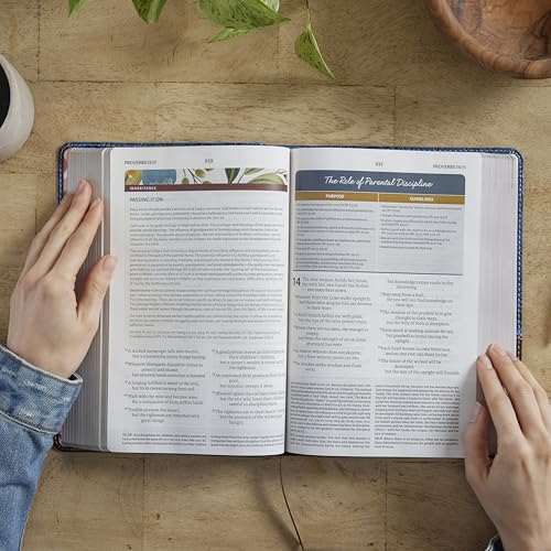 Image of NIV, The Woman's Study Bible, Cloth over Board, Pink, Full-Color, Red Letter: Receiving God's Truth for Balance, Hope, and Transformation