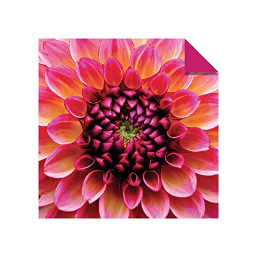 Origami Paper 200 Sheets Nature Photos 8 1/4