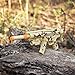 Tactical Machine Gun Toy – With Realistic Sounds LED Lights and Detachable Silencer |Military Soldier Desert Camo Role Play Toy | Costume Accessory for Kids – Maxx Action