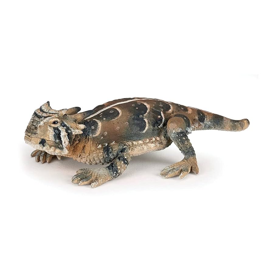 トカゲ sddefault.jpg