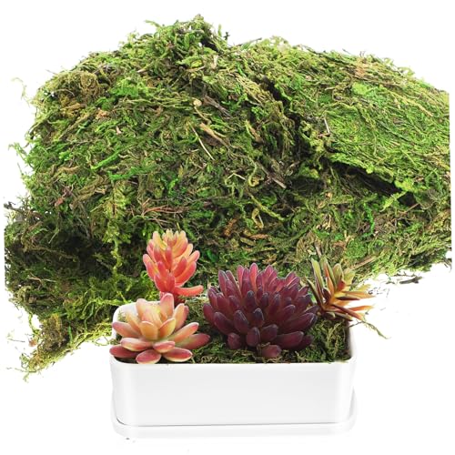 SOLUSTRE Artificial Green Dyed Moss for Gardens Fake Moss for Indoor Plants for Floral Arrangements Craft Projects
