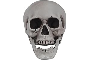 Halloween Realistic Styrofoam Skull