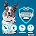 Seresto® Halsband Sparset für große Hunde ab 8 kg: 7 bis 8 Monate wirksamer Schutz gegen Zecken und Flöhe, Länge 70 cm, 2 Halsbänder