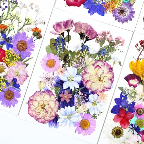 35 piezas flores secas prensadas para manualidades miniatura 2