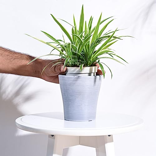 Image of UGAOO Rezer Tivoli Plastic Flower Pot (Diameter 4.7 Inches, Light Grey) | Durable Planter for Home, Balcony, Garden & Patio | Indoor & Outdoor Use | Stylish Gamla for Living Room & Decor