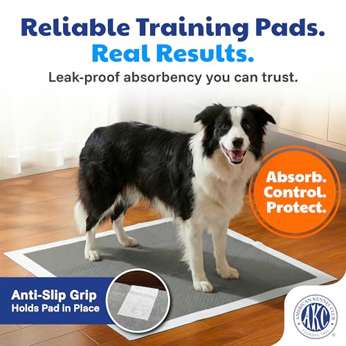 Image of American Kennel Club Carbon-Activated Puppy Training Pads - 50 Count, 28 x 30, XL