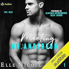 Meeting Mr. Anderson Audiolibro Por Elle Nicoll arte de portada