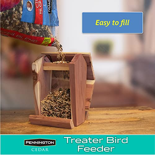 Pennington Cedar Treater Bird Feeder #TOP4