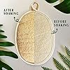 YIQINGJIE Natural Loofah Sponge Exfoliating Body Scrubber (3 Pack),Made with Eco-Friendly and Biodegradable Shower Luffa Sponge, Loofah for Women and Men, Beige #1