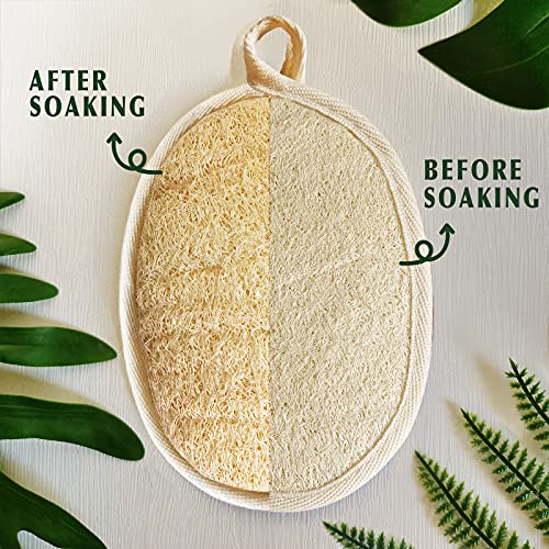Yiqingjie CN LOOFAH Natural Loofah Sponge Exfoliating Body Scrubber (3 Pack),Made thumb #1
