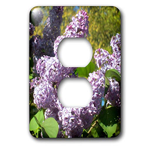 Lovely Lilas plaque murale double prise déco fleur soleil 3dRose
