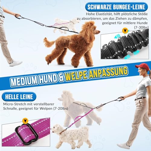 SlowTon Doppelte Leine für zwei kleine Hunde, 360° drehbare doppelte Hundeleine mit 4 Griffen, superleicht für Welpen unter 20 Pfund, reflektierender verstellbarer Riemen und stoßabsorbierendes Bungee
