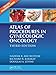 Atlas of Procedures in Gynecologic Oncology -  Abu-Rustum, Nadeem R., 3rd Edition, Hardcover