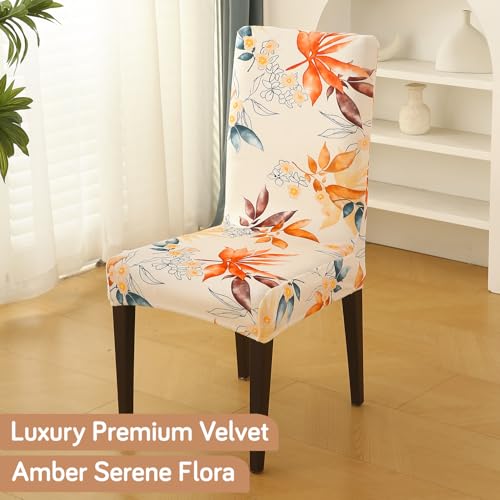 Image of HOKIPO Premium Printed Velvet Chair Cover Set of 2 for Dining Table, Amber Serene Flora (AR-5794-D3*2)