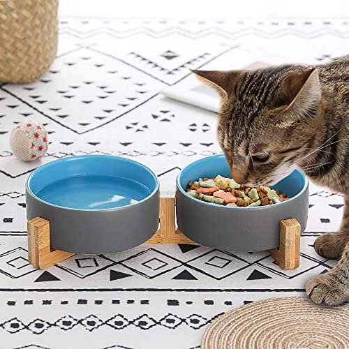 HCHLQLZ Grigio Blu Ceramica Ciotole per Cani Gatti...