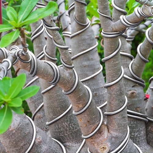 Image of Pelopy Aluminum Wire Metal Wire Armature Bendable Armature for Sculpting Dolls Floral Jewelry Making Weaving DIY Crafts, Silver (1 /8 Inch,100ft)