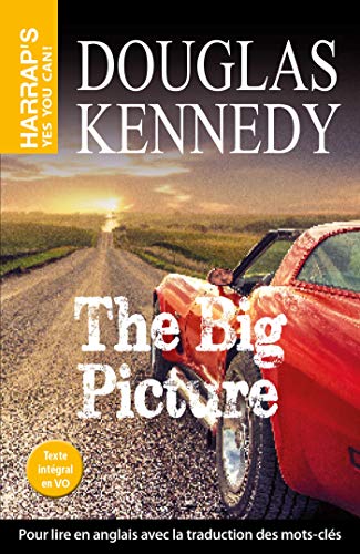  The Big Picture livre En ligne
