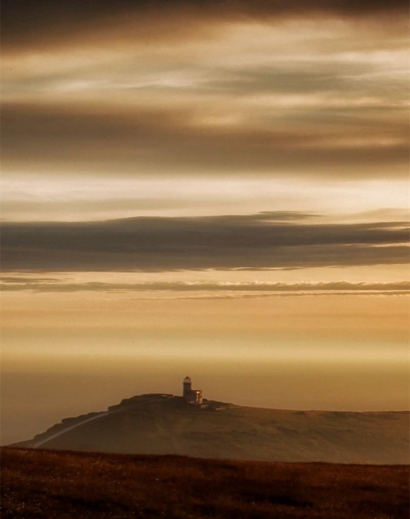 1000 Piece Jigsaw Puzzle for Adults and Kids Age 12 and Up-Fog,distance,nature 70x50cm