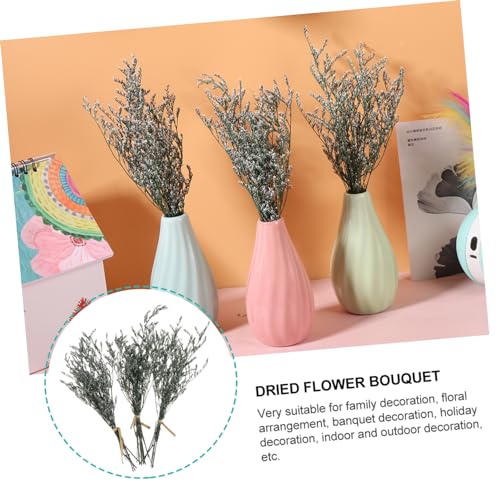 Ramo Seco Levemolo para Decoración DIY miniatura 7