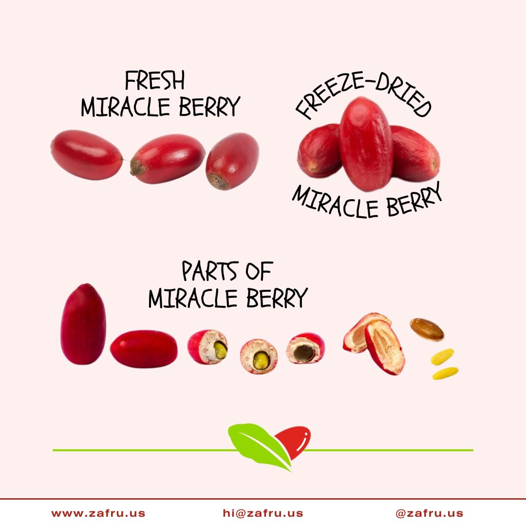 Zafru Miracle Berry Freeze-Dried Fruit 8g – Flavor-Changing Berry for Sour Foods, Natural Miracle Fruit Snack, Whole Berry Pieces for Taste Tripping and Food Pairing