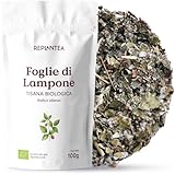 REPLANTEA Cuidamos tu Naturaleza