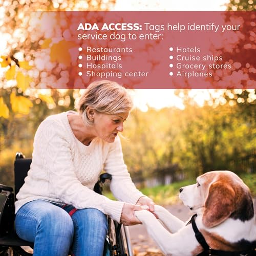 activedogs service dog hook amp loop id carrier holder for standard size handler amp working k9 identification cards wclear vinyl window