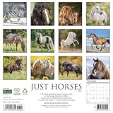 Willow Creek Press, Kalendarz ścienny Just Horses 2027