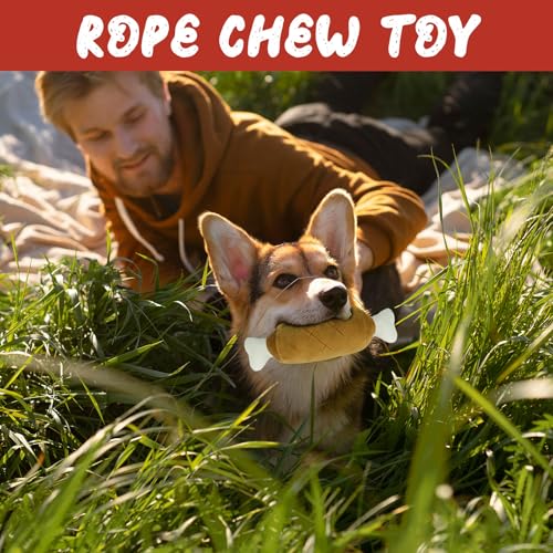 ANOTION 12 Tage Weihnachtshundspielzeug Adventskalender 2025 – Interaktives Quietschendes Hundespielzeug Set, Aggressive Kauer, Beinhaltet Kauspielzeug, Seile, Bälle und mehr