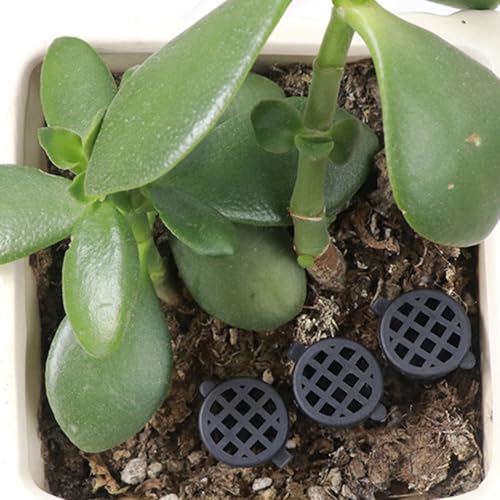 50 unidades cesta de malla para fertilizante jardín interior miniatura 4