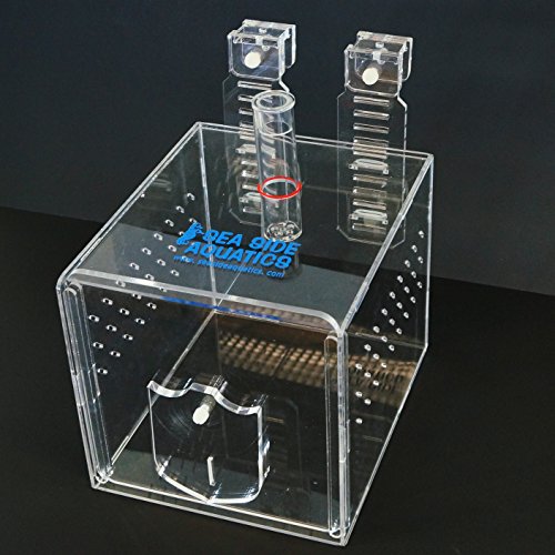 Sea Side Aquatics FTC Large