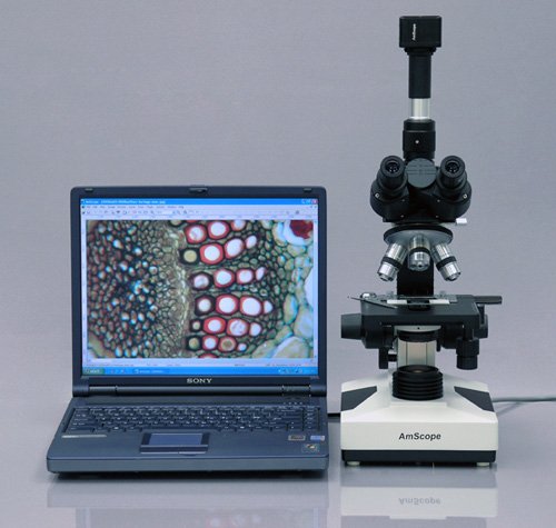Amscope t490 a-m 40 x -1600 x Lab Clinic Vet Trinocular microscopio con 1.3 MP fotocamera