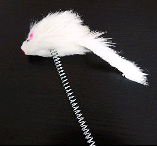 Image of Pets Empire Catch The Mouse Motion Cat Toy