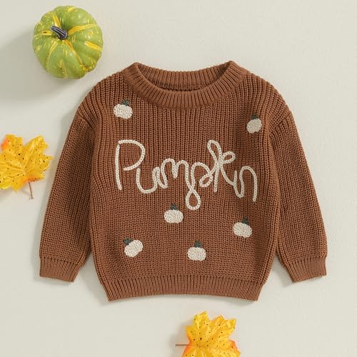 Little Kids Baby Boy Girl Halloween Pumpkin Letter Embroidery Knitted Sweaters Oversized Long Sleeve Warm Sweater2