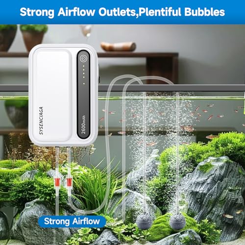 Image of Aquarium Air Pump Rechargeable Aerator for Bait Bucket, Portable Battery Powered Air Pump for Aquarium, Fish Tank Air Pump Bubbler Aerator for Outdoor Fishing